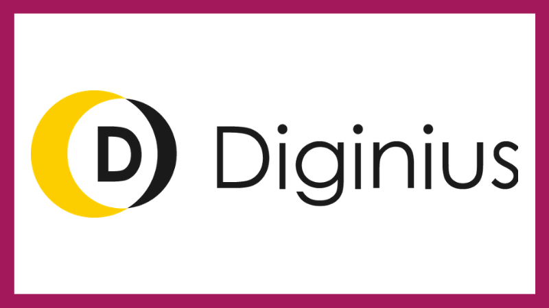 Diginius Insight logo - Analytics & Data tool for business | Technology Coaching